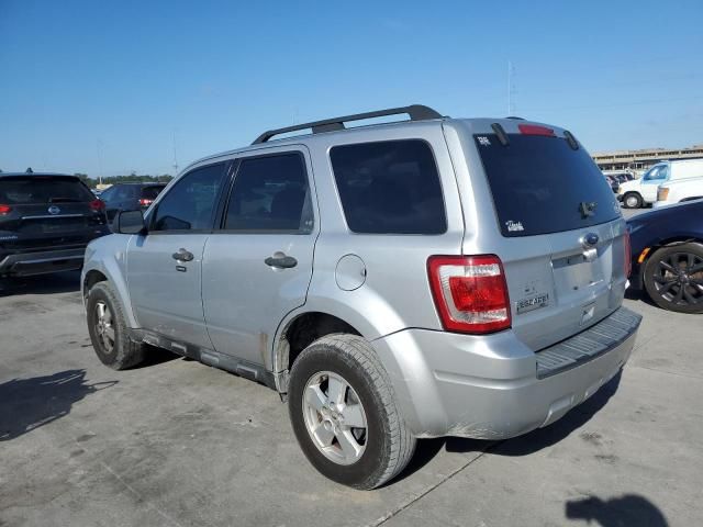 2010 Ford Escape XLT