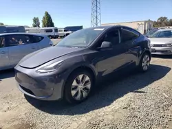 Salvage cars for sale at auction: 2023 Tesla Model Y