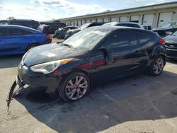 Salvage cars for sale at Louisville, KY auction: 2016 Hyundai Veloster