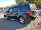 2010 Honda Pilot EXL