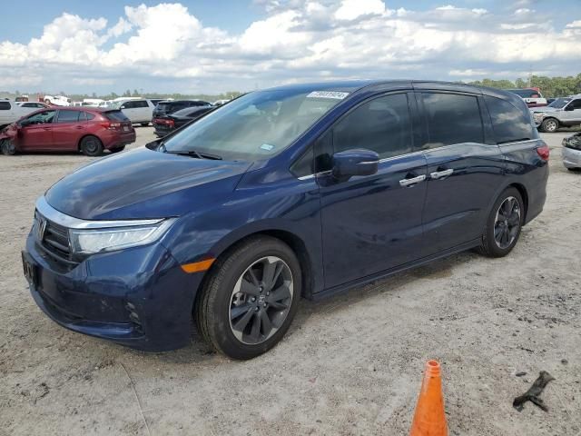 2024 Honda Odyssey Elite