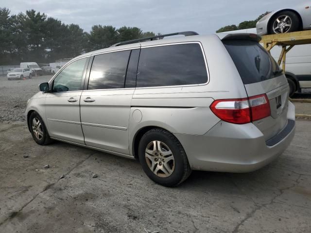 2005 Honda Odyssey EXL