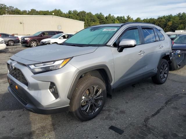 2024 Toyota Rav4 XLE Premium