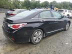 2013 Hyundai Sonata Hybrid