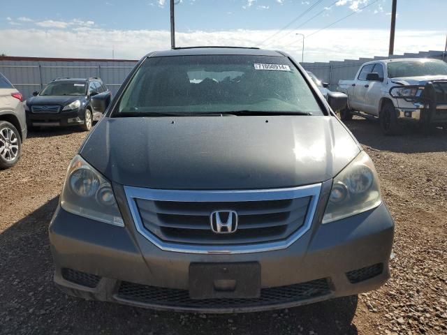 2008 Honda Odyssey EXL