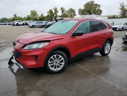 Salvage cars for sale at Bridgeton, MO auction: 2022 Ford Escape SE