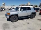 2007 Toyota FJ Cruiser