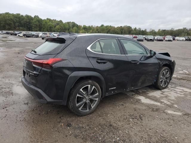 2019 Lexus UX 250H