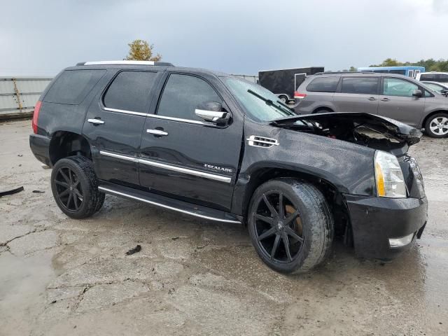 2013 Cadillac Escalade Luxury