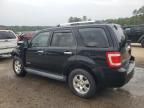 2008 Ford Escape Limited