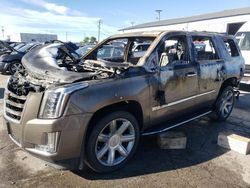 Salvage vehicles for parts for sale at auction: 2016 Cadillac Escalade Luxury