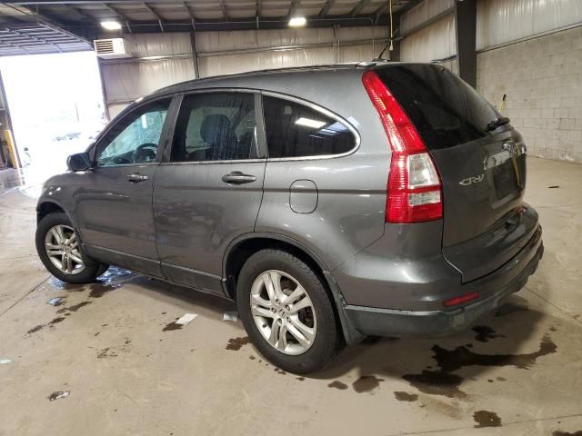 2010 Honda CR-V EXL