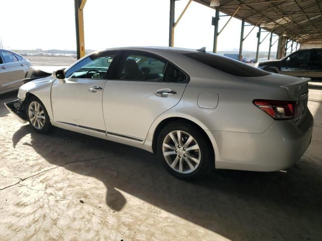 2010 Lexus ES 350