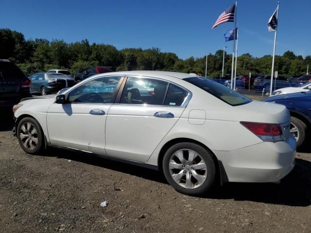 2008 Honda Accord EXL