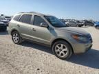 2007 Hyundai Santa FE SE