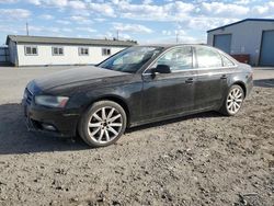 Audi Vehiculos salvage en venta: 2013 Audi A4 Premium Plus