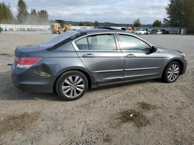 2011 Honda Accord EXL