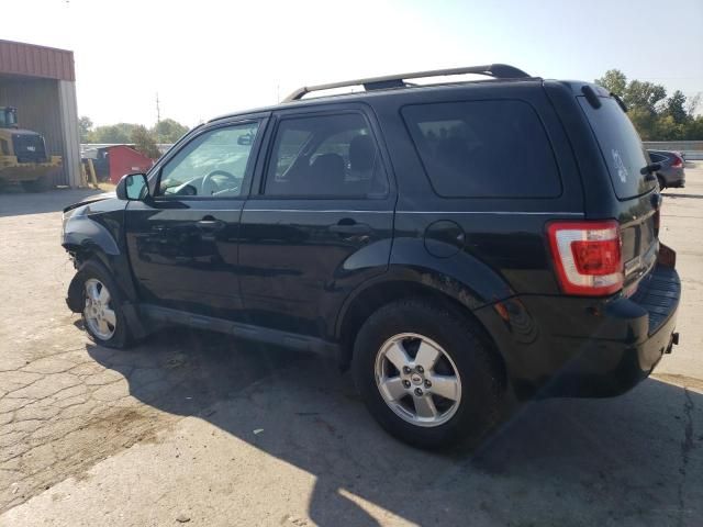 2012 Ford Escape XLT