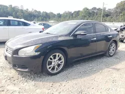 Nissan Maxima salvage cars for sale: 2014 Nissan Maxima S