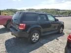 2008 Ford Escape Limited