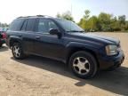 2007 Chevrolet Trailblazer LS