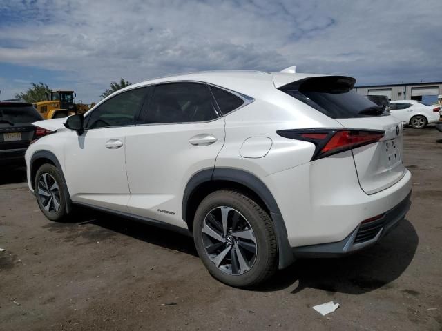 2021 Lexus NX 300H Base