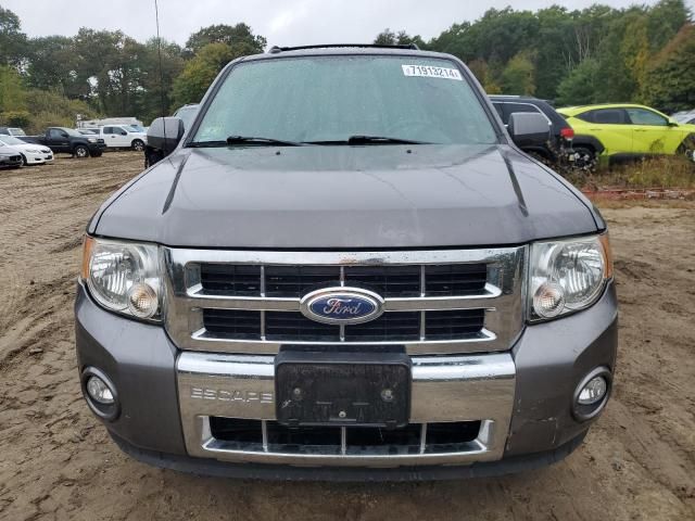 2012 Ford Escape Limited