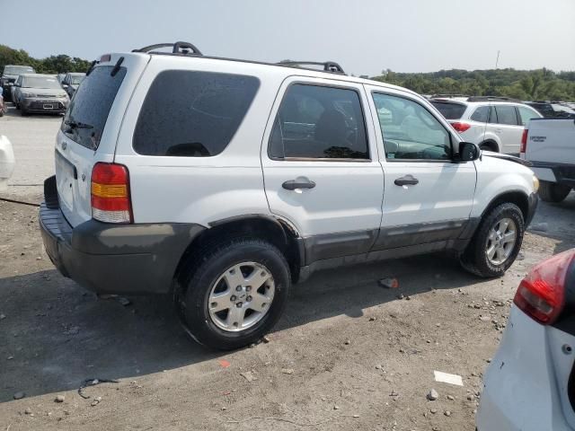 2007 Ford Escape XLT