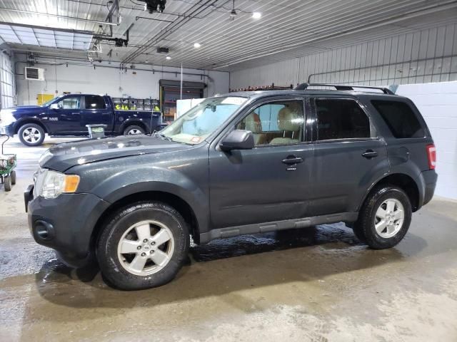 2009 Ford Escape XLT