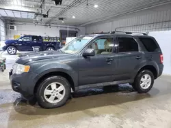 Salvage cars for sale at Candia, NH auction: 2009 Ford Escape XLT