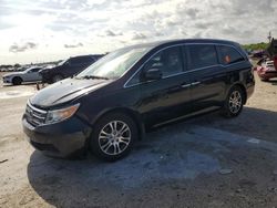 Salvage cars for sale at West Palm Beach, FL auction: 2013 Honda Odyssey EXL