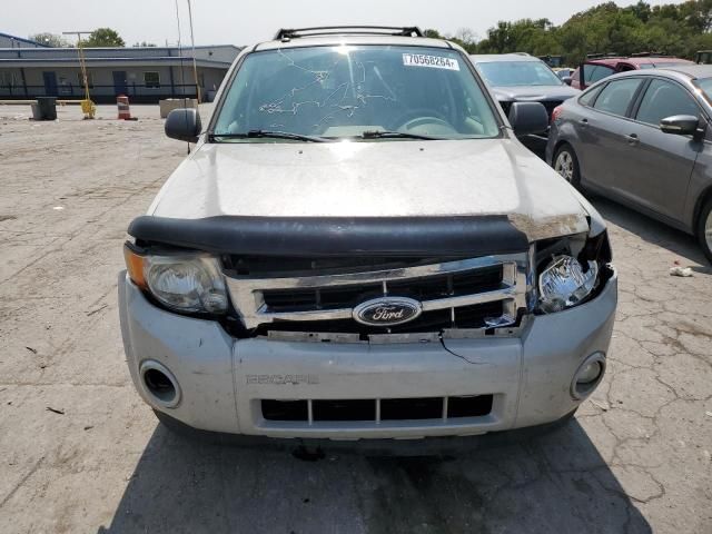 2008 Ford Escape XLT