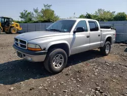 Salvage cars for sale at Marlboro, NY auction: 2004 Dodge Dakota Quad Sport