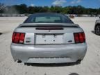 2000 Ford Mustang GT