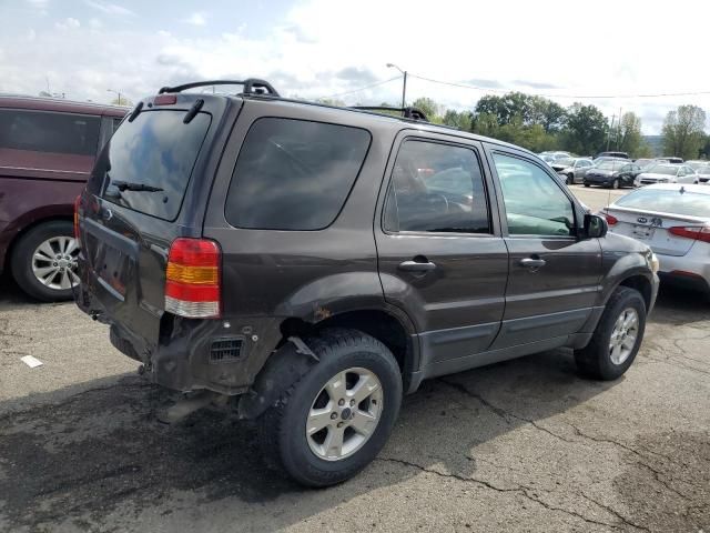 2006 Ford Escape XLT