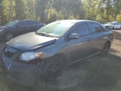 2010 Toyota Corolla Base en venta en Cookstown, ON