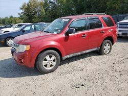 Salvage cars for sale at Candia, NH auction: 2011 Ford Escape XLT