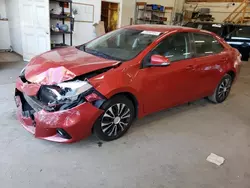 Salvage cars for sale at Ham Lake, MN auction: 2014 Toyota Corolla L