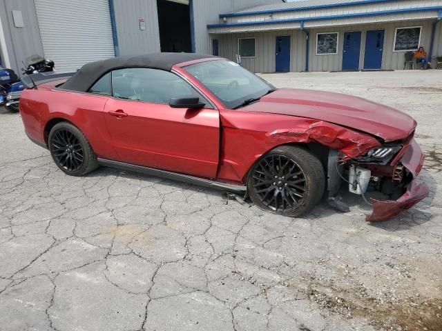 2010 Ford Mustang