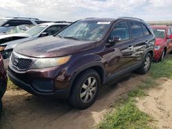 KIA salvage cars for sale: 2012 KIA Sorento Base