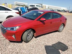 Salvage cars for sale at Phoenix, AZ auction: 2020 Hyundai Elantra SE