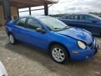 2005 Dodge Neon SXT