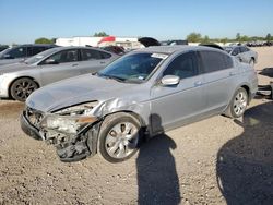 Salvage cars for sale at auction: 2009 Honda Accord EXL