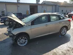 Salvage cars for sale at York Haven, PA auction: 2016 Ford Focus SE