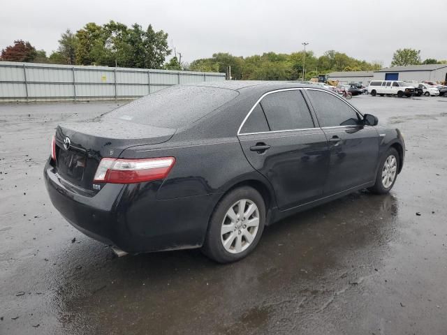 2009 Toyota Camry Hybrid