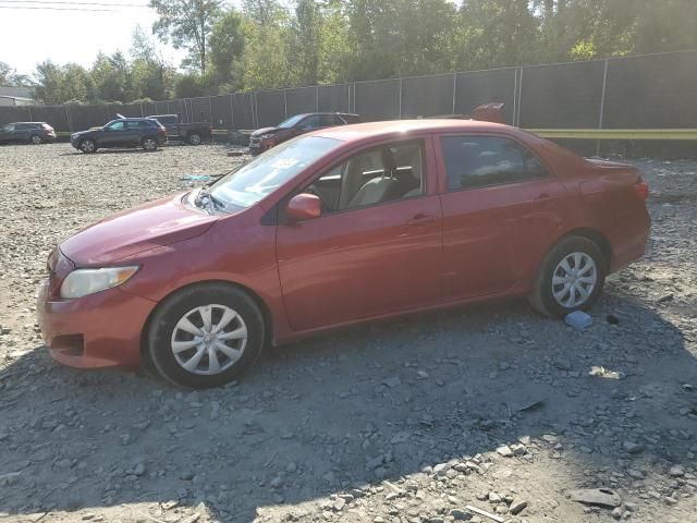 2010 Toyota Corolla Base