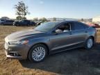 2014 Ford Fusion Titanium Phev