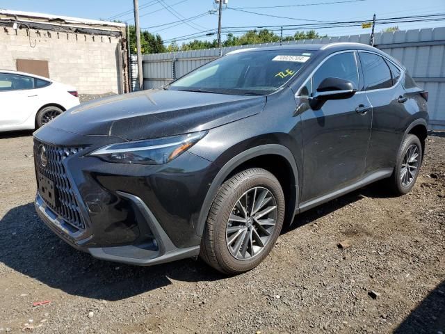 2023 Lexus NX 350H