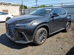 2023 Lexus NX 350H en venta en New Britain, CT