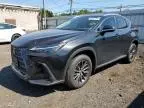 2023 Lexus NX 350H